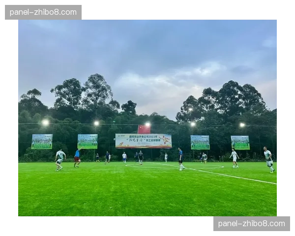 草根足球报告:英格兰业余联赛上座率同比提升15%,社区足球热度攀升