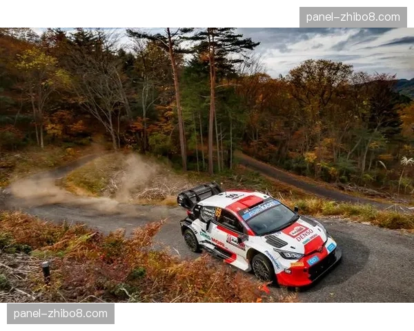 世界赛车拉力锦标赛WRC克罗地亚站：天气多变或成最大变数