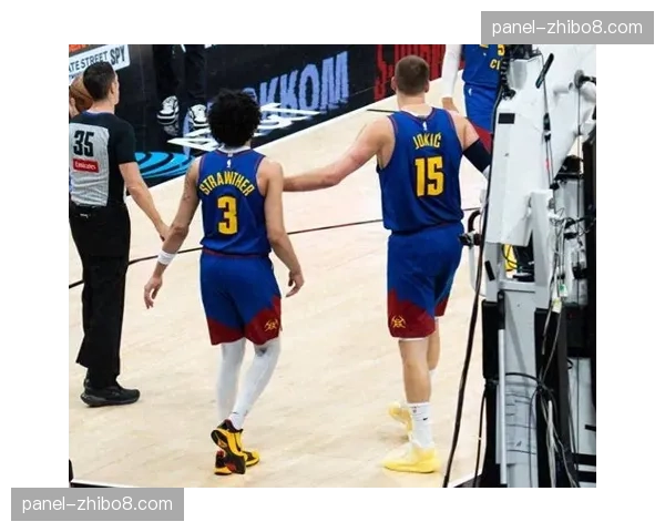 约基奇创历史纪录，单赛季同时包揽篮板王和助攻王两项数据王